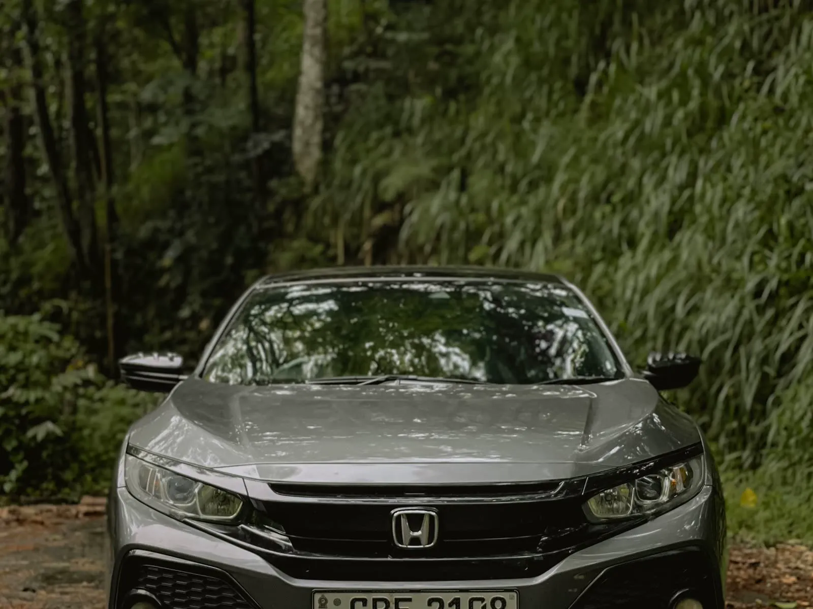 2019 Honda Civic EX sedan in gray, front three-quarter view parked among greenery